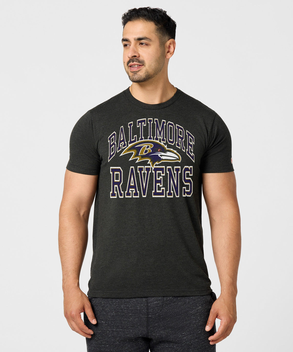 Baltimore Ravens Arch product image 3