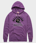 Baltimore Ravens Throwback Helmet Hoodie product image 1