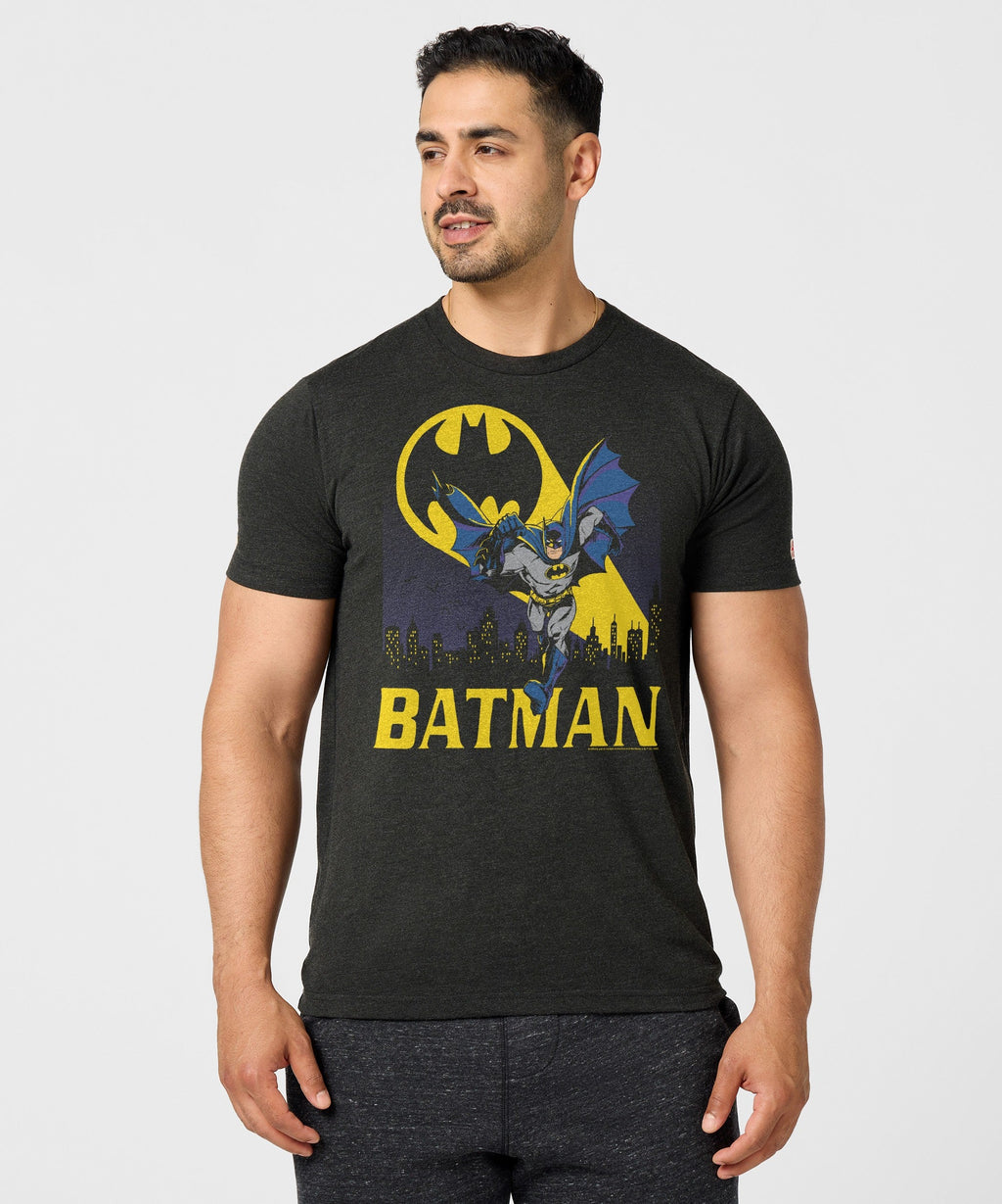 Batman Bronze Age product image 3