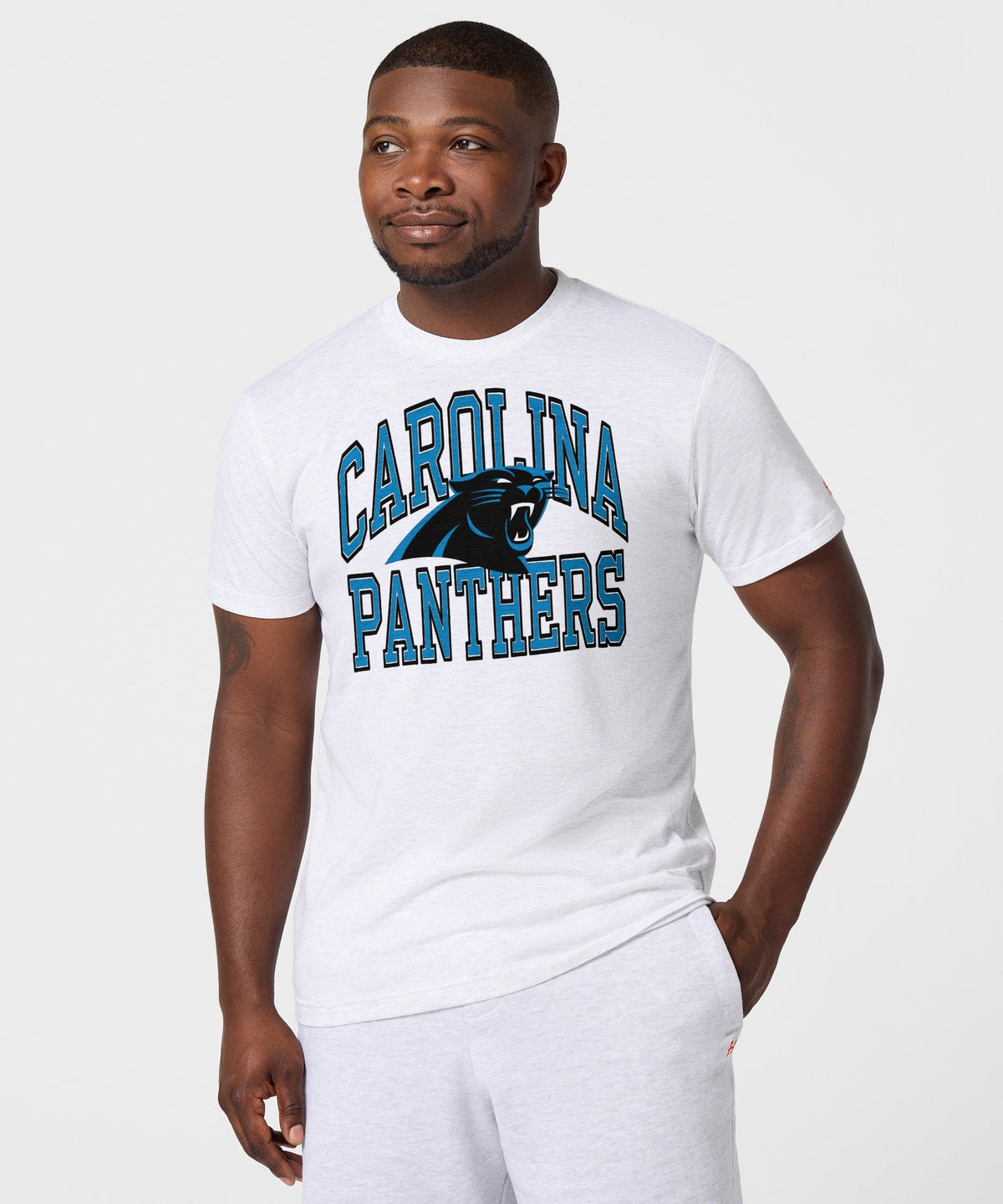 Carolina Panthers Arch product image 3