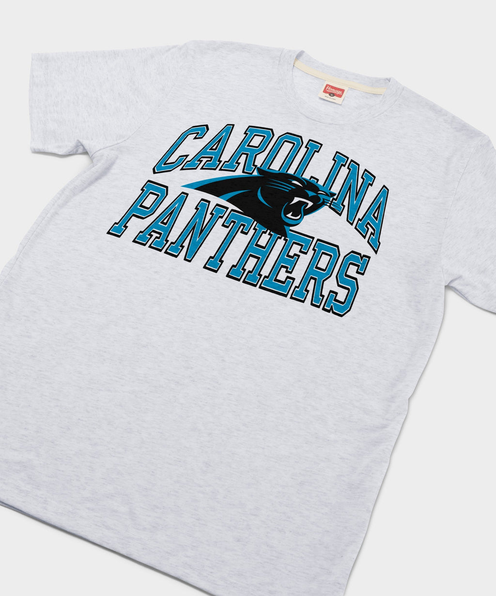 Carolina Panthers Arch product image 2