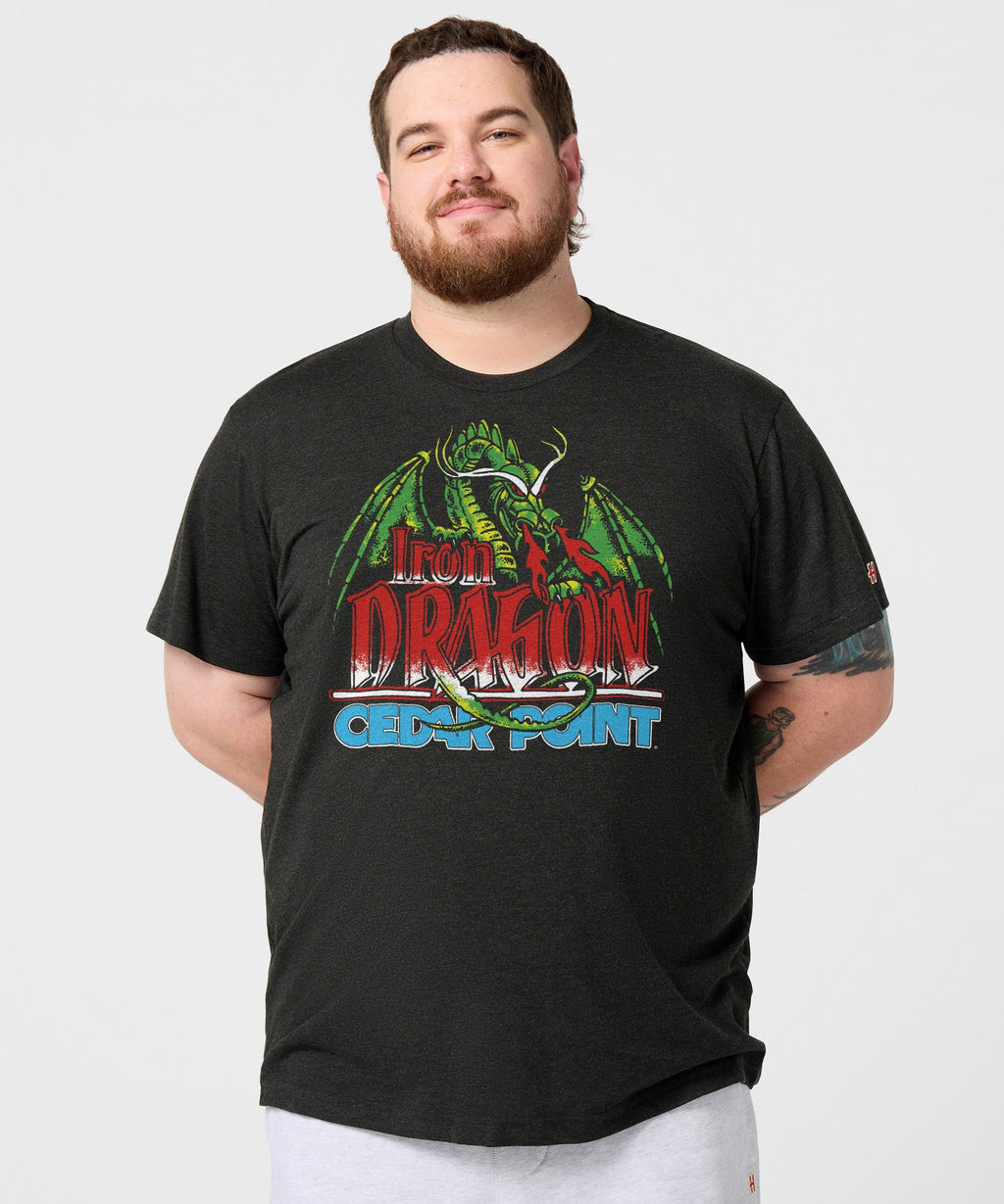 Cedar Point Iron Dragon product image 3