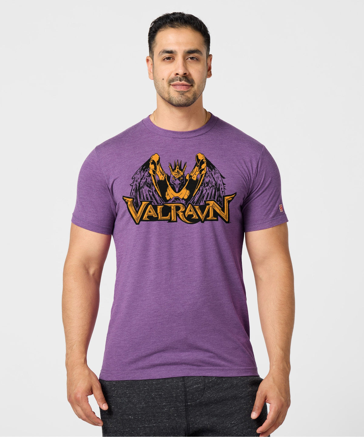 Cedar Point Valravn product image 3
