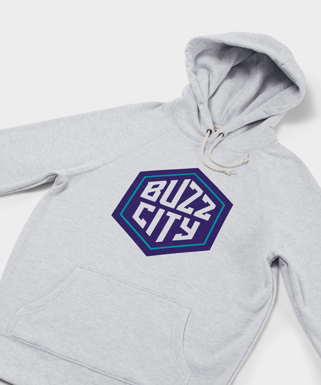 Charlotte Hornets Buzz City Hoodie product image 2