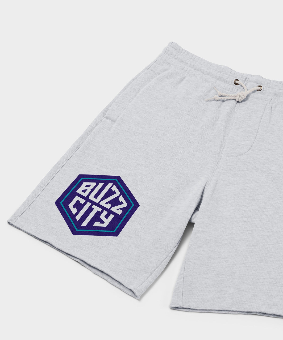 Charlotte Hornets Buzz City Sweat Shorts product image 2