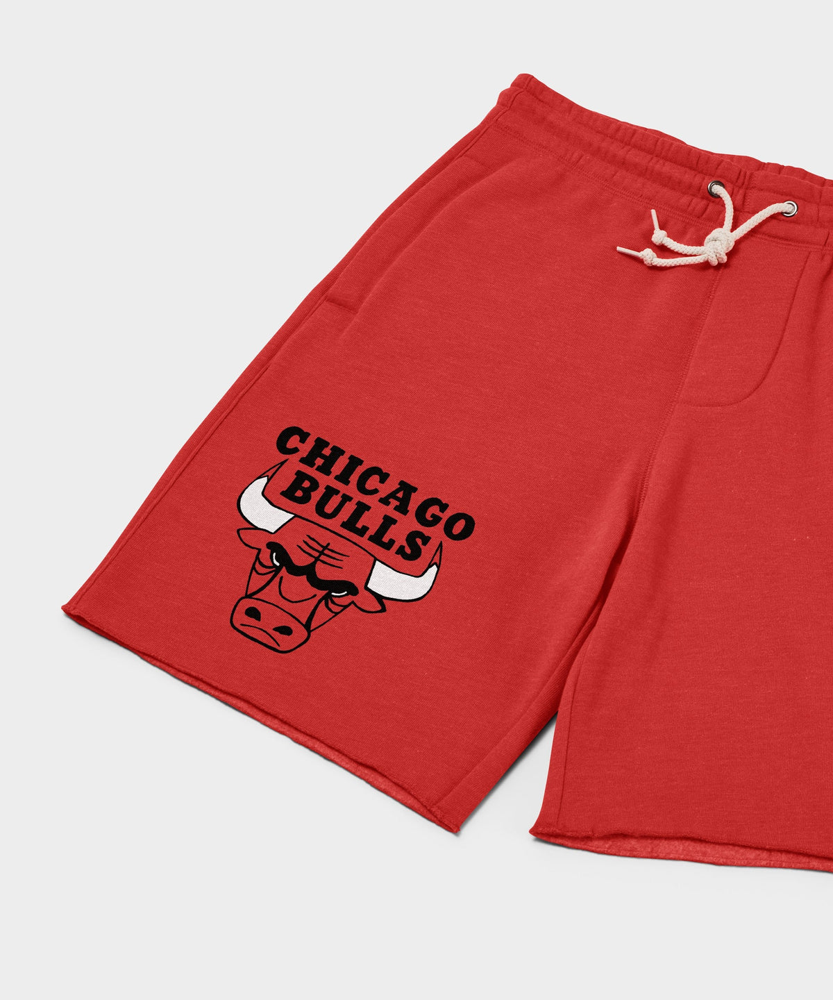 Chicago Bulls Logo Sweat Shorts product image 2