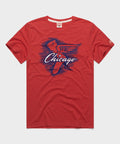 Chicago Flying Sox product image 1