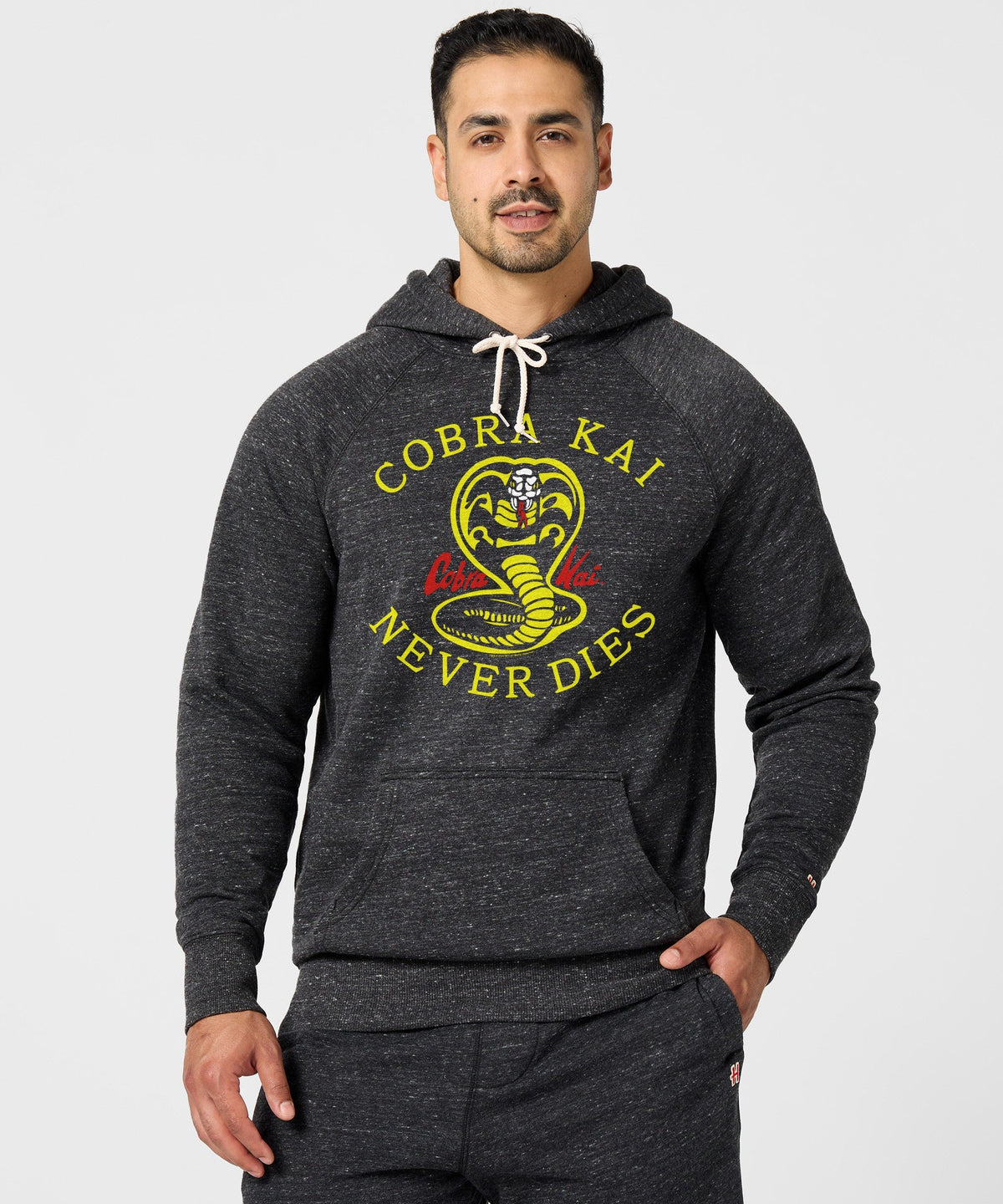 Cobra Kai Never Dies Hoodie product image 3