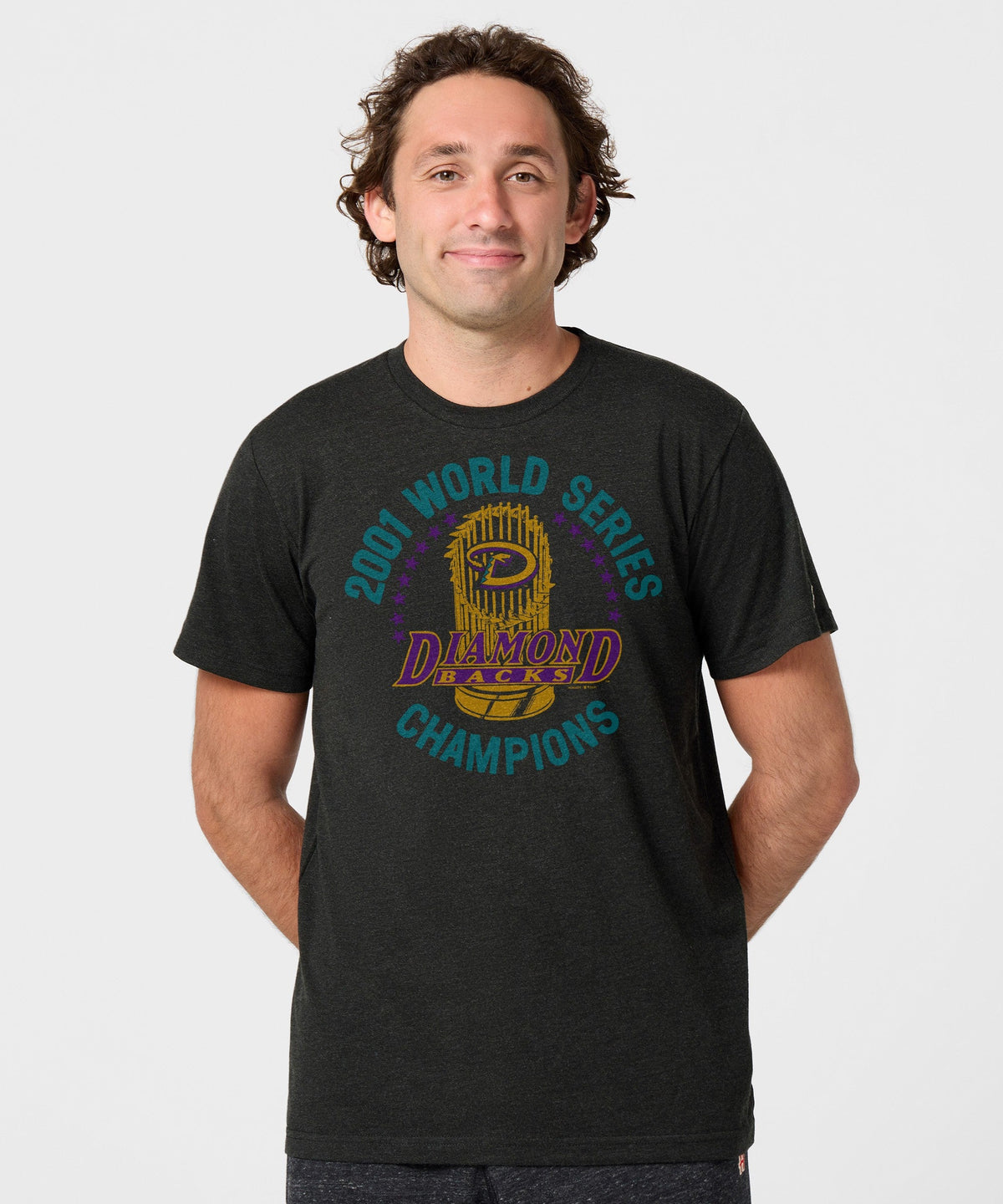 Diamondbacks World Series Champs 2001 product image 3