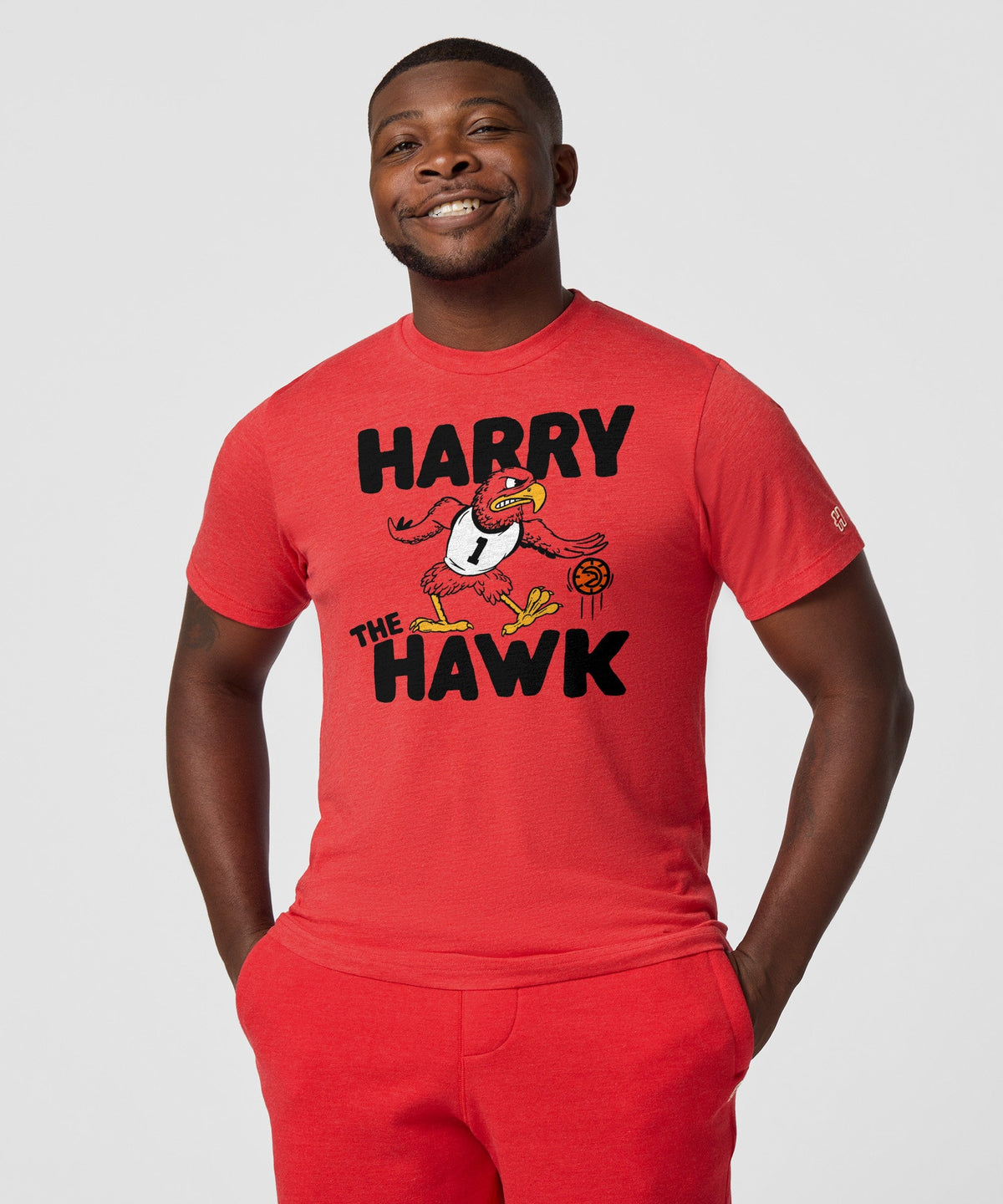 Harry The Hawk product image 3