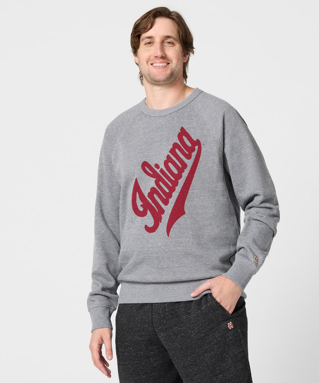 Hoosier Pride Crewneck product image 3