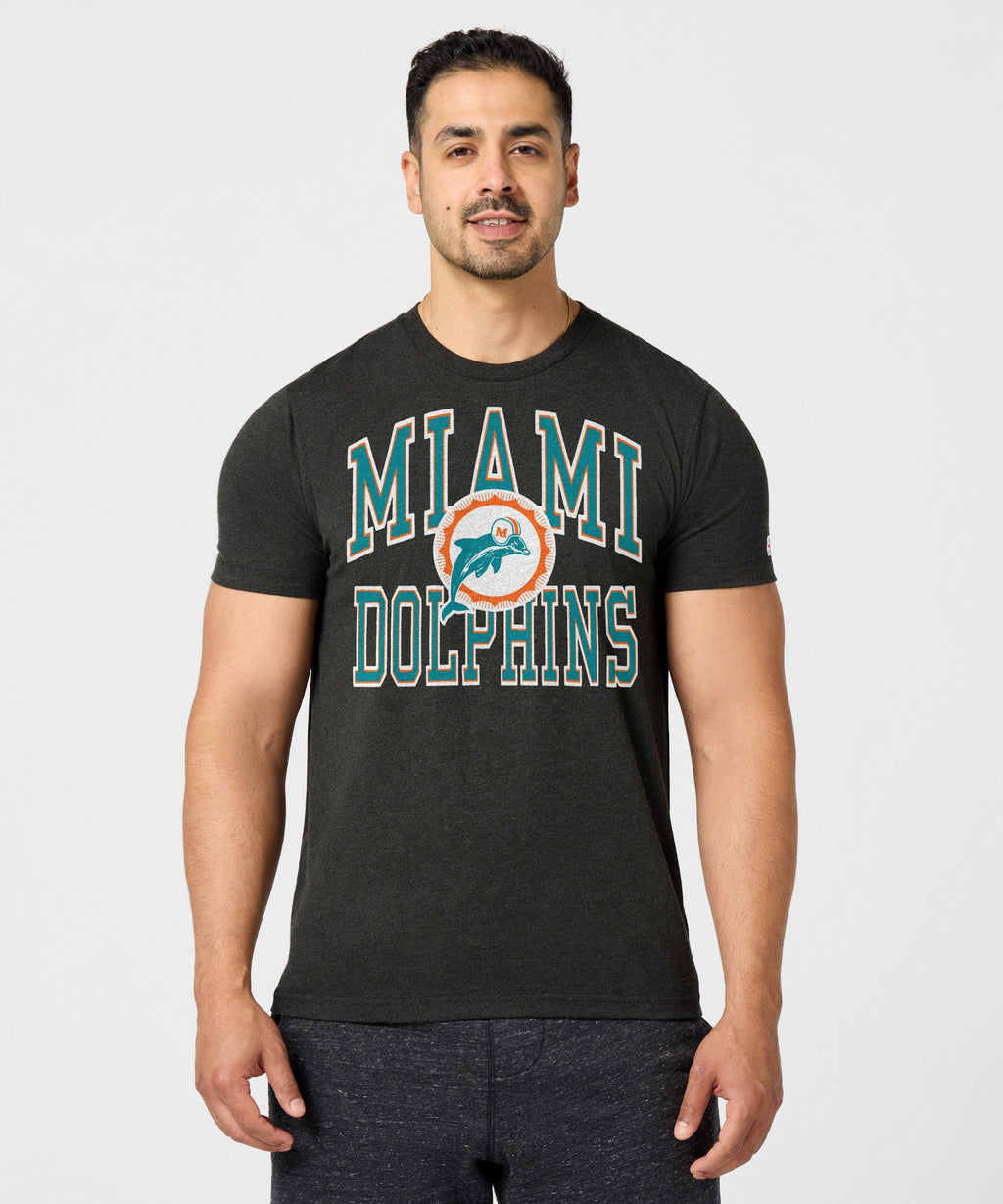 Miami Dolphins Arch product image 3