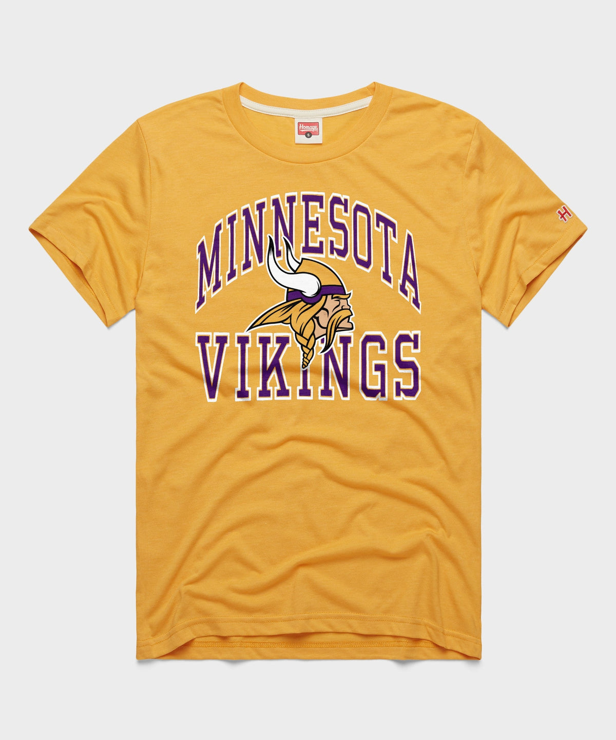 Minnesota Vikings Arch product image 1