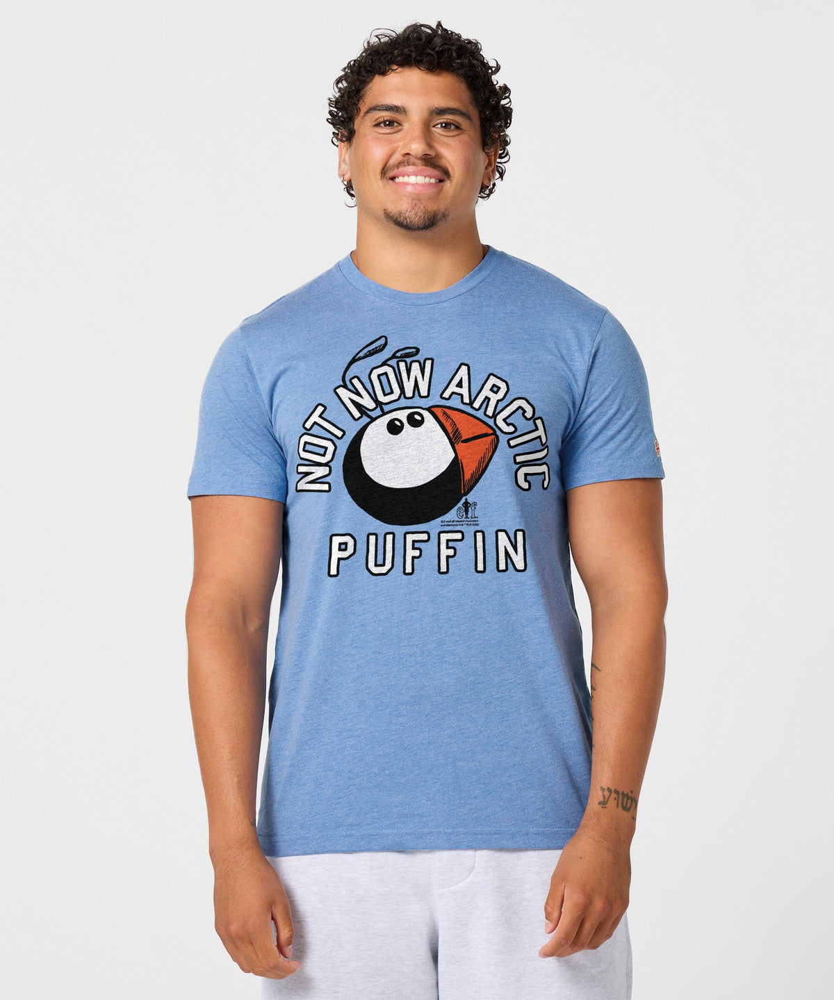 Not Now Arctic Puffin product image 3