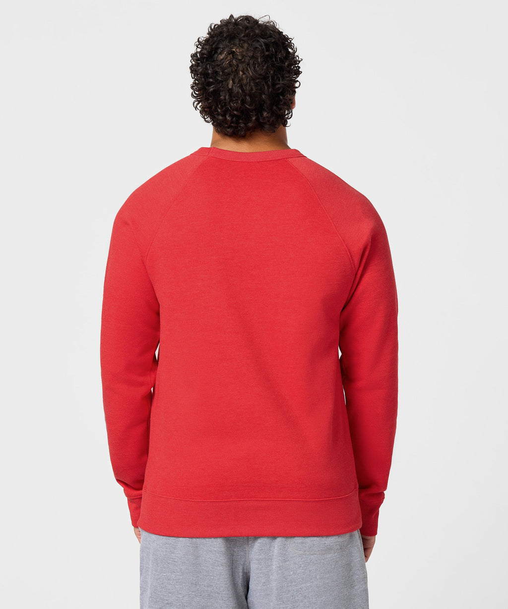 Ohio State Buckeyes Football Crewneck product image 8