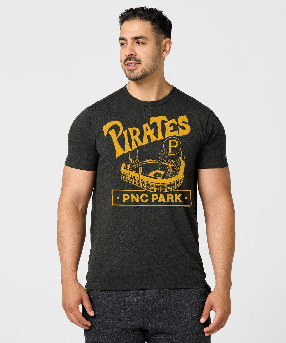 Pittsburgh Pirates PNC Park product image 3
