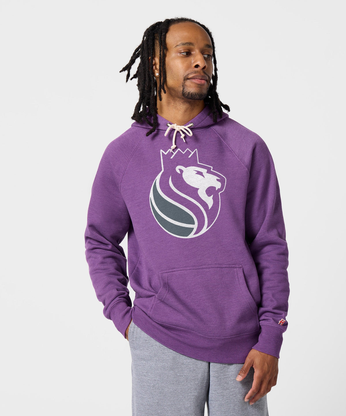 Sacramento Kings Logo Hoodie product image 3