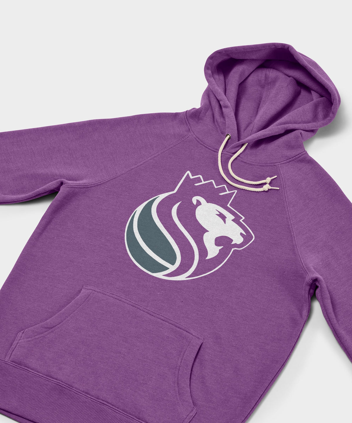Sacramento Kings Logo Hoodie product image 2