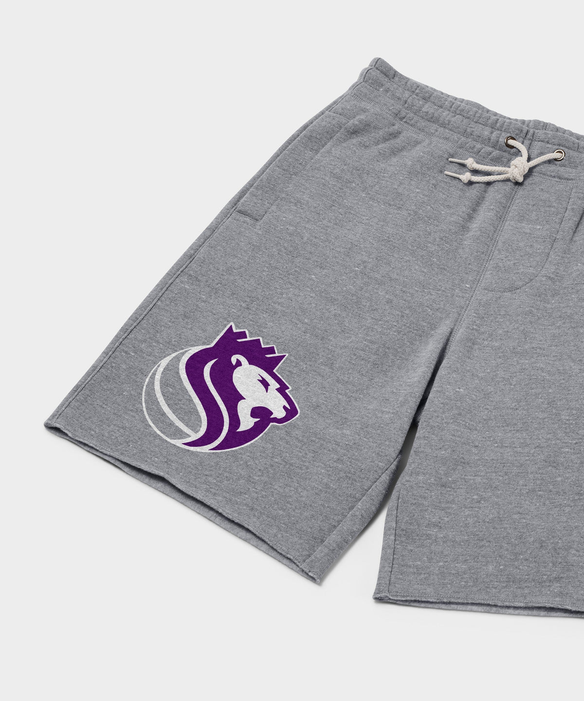 Sacramento Kings Logo Sweat Shorts product image 2