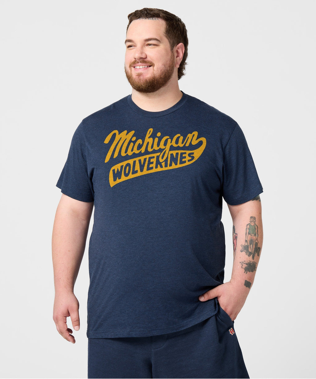 Script Michigan Wolverines product image 3