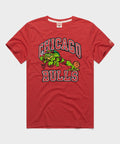 TMNT Raphael X Chicago Bulls product image 1