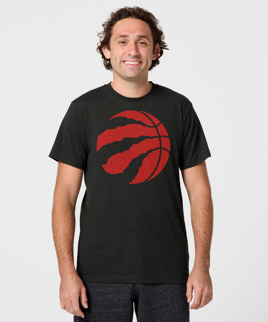 Toronto Raptors Logo product image 3