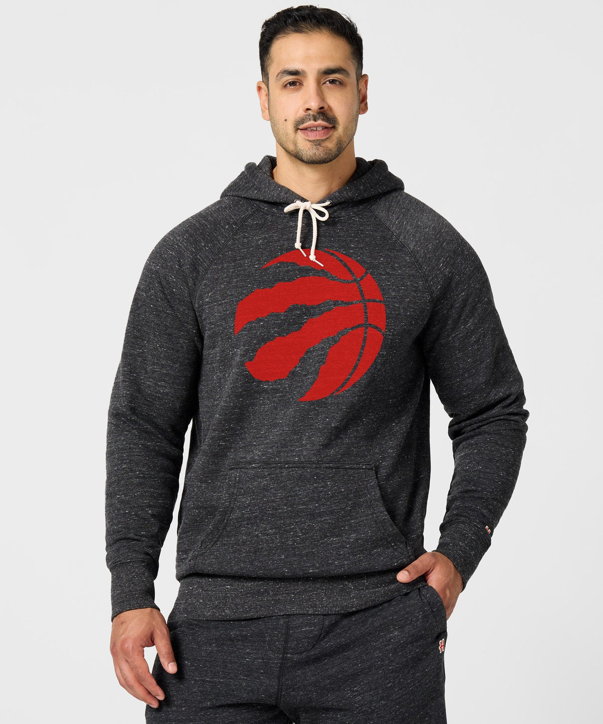 Toronto Raptors Logo Hoodie product image 3