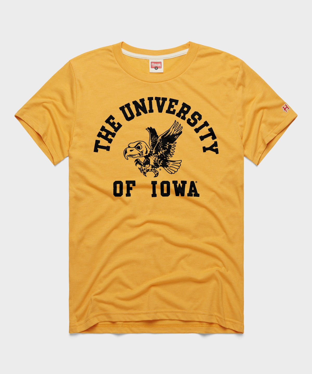 University of Iowa product image 1