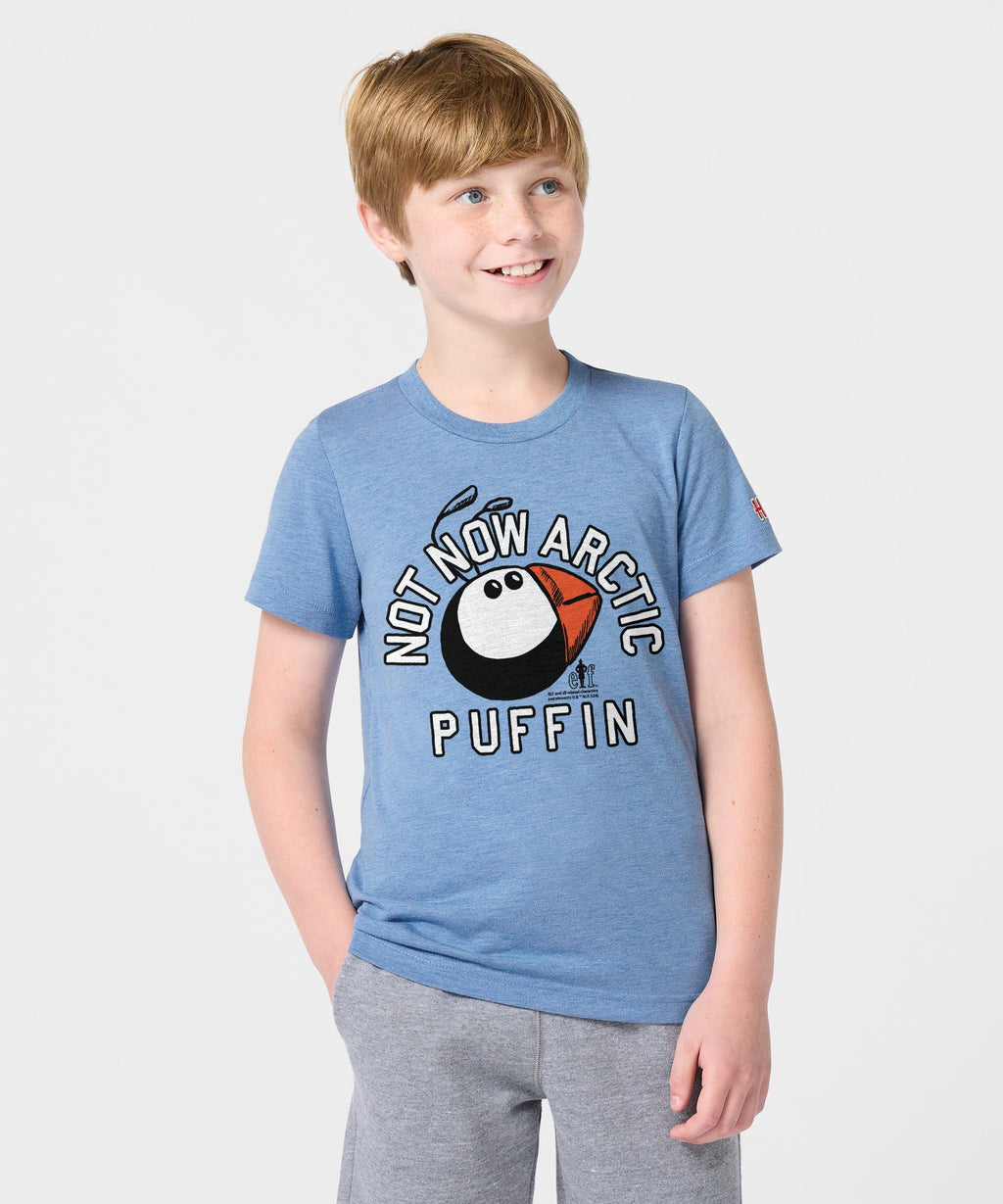 Youth Not Now Arctic Puffin product image 3