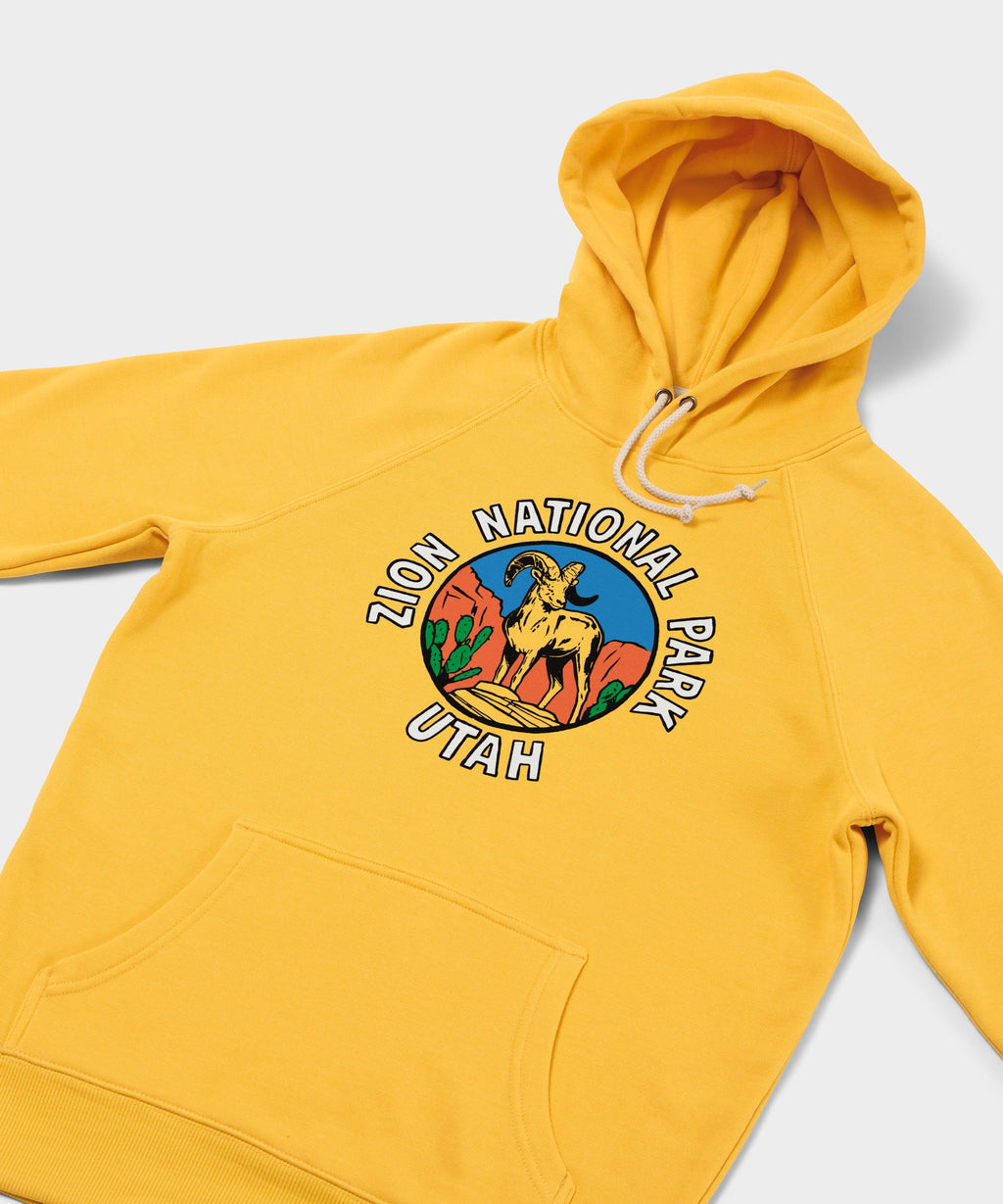 Zion National Park Hoodie product image 2