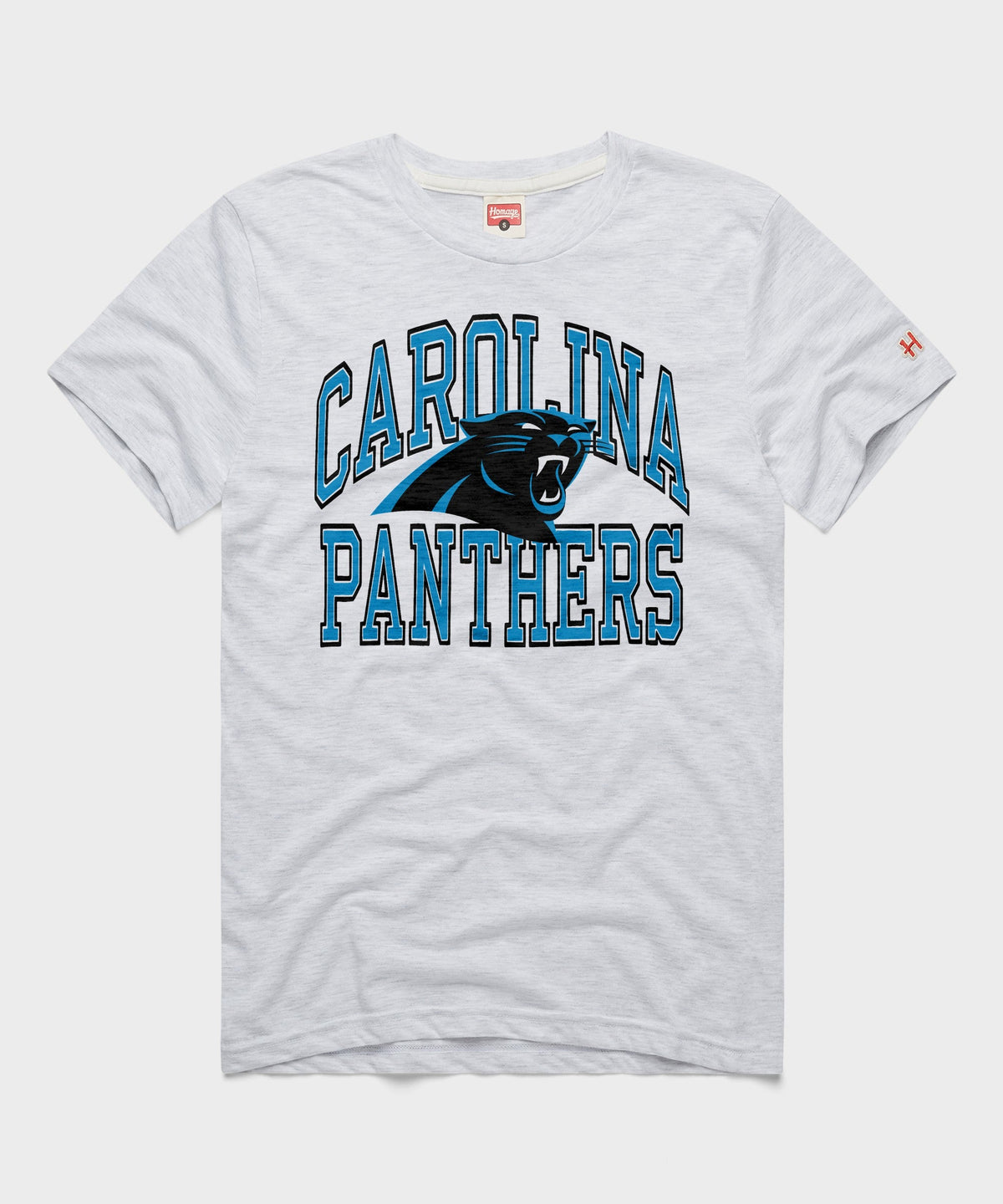 Carolina Panthers Arch product image 1