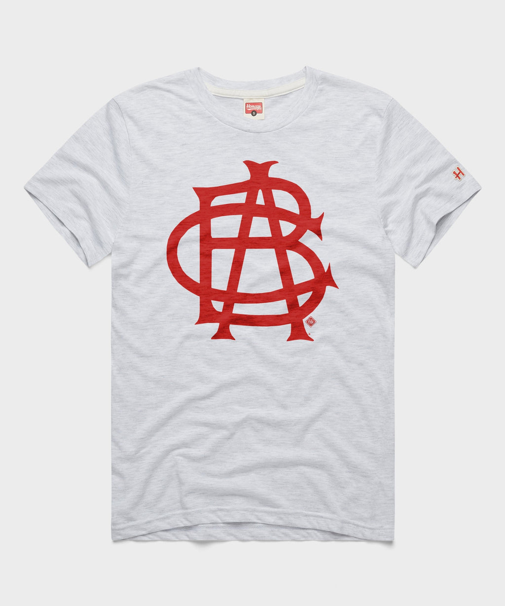 Indianapolis ABCs product image 1
